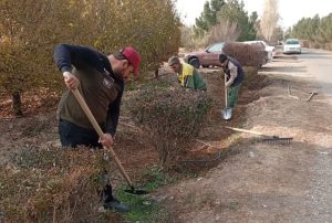 تداوم اجرای عملیات چالکود پاییزی درختان در منطقه ۱۰ تبریز