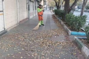 معاون خدمات شهری شهرداری منطقه ۸ خبر داد: اجرای طرح خدمات محله‌ای در منطقه تاریخی-فرهنگی تبریز