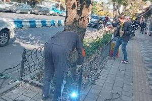 معاون فنی و عمرانی شهرداری منطقه ۸ خبر داد: نرده‌گذاری باغچه‌های خیابان فلسطین (گجیل)