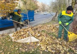 پاکسازی شش پارک منطقه ۲ تبریز از برگ‌های پاییزی