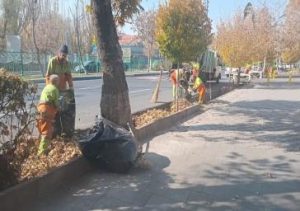 پاکسازی اساسی بلوار ۲۹ بهمن توسط شهرداری منطقه ۲