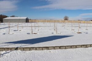 بازارچه محلی شهید حیدری در آستانه افتتاح قرار گرفت