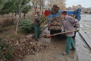 جمع‌آوری برگهای خزان درختان از مهرانه رود برای تولید کمپوست در منطقه ۸