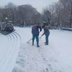 عملیات فوری برف‌روبی پارک‌ها و برف‌تکانی درختان منطقه ۸ برای ایمن‌سازی فضای سبز