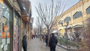 هرس و ساماندهی درختان پیاده‌راه تربیت با رعایت کامل اصول ایمنی