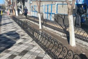 نرده‌گذاری باغچه‌های تربیت غربی (بالا‌تربیت) اجرا شد