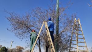 آماده‌سازی غرب تبریز برای استقبال از بهار