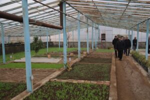 تولید ۲۰۰ هزار نشای گل بهاری در گلخانه‌های شهرداری منطقه ۷ تبریز