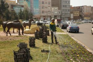 کاشت ۳۰ هزار جعبه گل بنفشه برای استقبال از بهار ۱۴۰۵