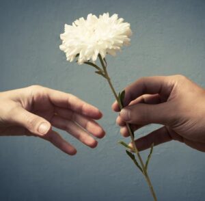 روایت قدرشناسی در تبریز؛ بزرگداشت نخبگان پیش از فراموشی