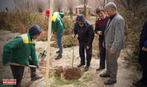 کاشت نهال مثمر در پارک پروفسور هشترودی خاوران