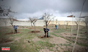 آغاز عملیات گسترده ترمیم تشتک‌ها و اصلاح مسیرهای آبیاری در فضای سبز منطقه ۹