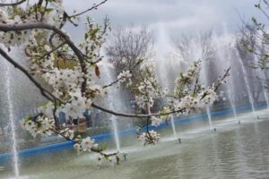 آمادگی پارک‌ها و بوستان‌های منطقه ۸ برای میزبانی از شهروندان در روز طبیعت