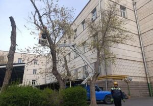 ساماندهی فضای سبز و گلکاری در محوطه اداره کل دارایی استان