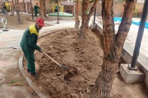 ساماندهی و بازپیرایی فضای سبز خانه سلامت شهید عبدالهی در منطقه ۸