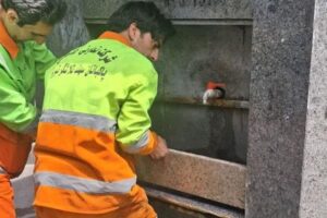 تعمیر و بهسازی آبخوری‌ها و سقاخانه‌های سطح منطقه ۸ تبریز
