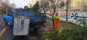 جمع‌آوری لاستیک‌های مستعمل و زباله‌های حاصل از هرس درختان