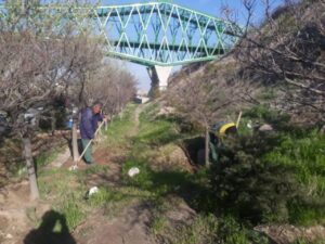 ایجاد تشتک پای درختان در پارک‌های سطح حوزه شهرداری منطقه ۲