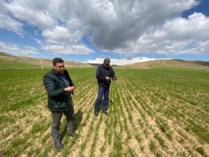 بازدید تخصصی از مزارع طرح پایداری تولید در دیمزارهای کندوان میانه