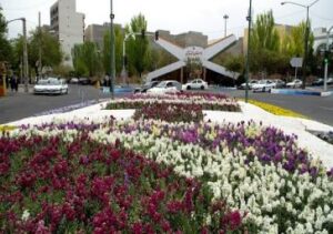 کاشت بیش از ۱۲۵ هزار گل فصلی در میادین منطقه ۷ همزمان با آغاز بهار