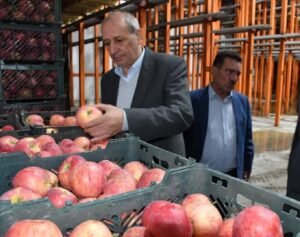 ثبات بازار و امنیت غذایی در آذربایجان شرقی