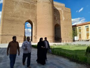 کاشت دو هزار درختچه شمشاد در محوطه ارک علیشاه