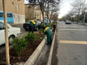 دفع علف‌های هرز در فضاهای سبز سطح حوزه شهرداری منطقه ۶ تبریز