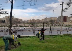 اجرای عملیات گسترده دفع علف‌های هرز و اصلاح تشتک در بوستان‌ها و رفوژهای میانی منطقه ۷