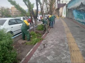 ایجاد تشتک پای درختان در اتوبان شهید کسائی و بلوار آزادی