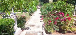 مرمت سنگ‌فرش باغ صبا توسط شهرداری منطقه یک تبری
