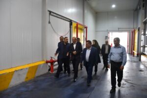 آذربایجان شرقی، قطب فرآوری و بسته‌بندی خرما در کشور