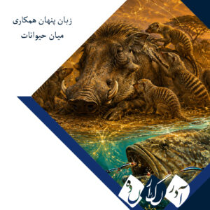 زبان پنهان همکاری میان حیوانات؛ وقتی گونه‌های مختلف با هم «حرف می‌زنند»