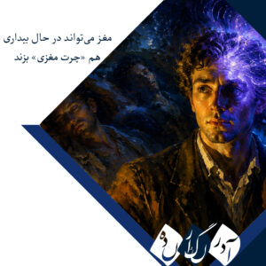 مغز شاید برای بازیابی کامل به خواب سراسری نیاز نداشته باشد