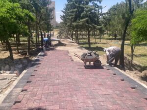اجرای عملیات مرمت جداول و کفپوشها در پارک ۱۷ هزار مترمربعی کوتاهقامتان