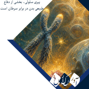 راز قدیمی پیری سلولی حل شد؛ دانشمندان کلید توقف تقسیم سلول‌ها را پیدا کردند