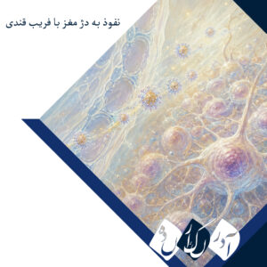 فریب دادن سد خونی-مغزی با قند؛ رویکردی نوین در درمان کشنده‌ترین سرطان مغز