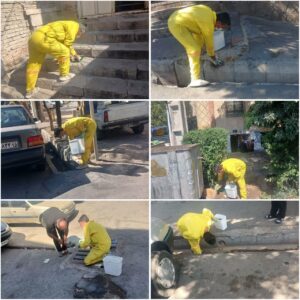 اجرای عملیات ضربتی طعمه‌گذاری در خیابان شهید شفیع‌زاده با هدف ارتقای بهداشت عمومی