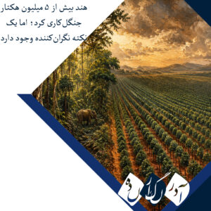 هند در ۱۰ سال بیش از ۵ میلیون هکتار جنگل‌کاری کرد؛ اما یک نکته نگران‌کننده وجود دارد