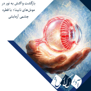 قطره چشمی آزمایشی، واکنش به نور را در موش‌های نابینا بازگرداند