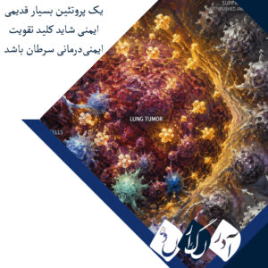 یک پروتئین بسیار قدیمی ایمنی شاید کلید تقویت ایمنی‌درمانی سرطان باشد