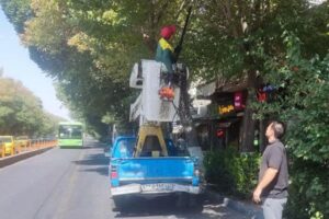 رفع مزاحمت شاخه‌های درختان در مسیر BRT خیابان امام خمینی؛ عملیات هرس اصولی در منطقه ۸