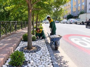 جلوه‌ای تازه در منظر شهری منطقه ۸؛ آغاز سنگ‌چینی تزئینی با قلوه‌سنگ در باغچه‌های بلوار چایکنار