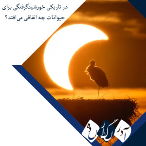 وقتی روز ناگهان شب می‌شود؛ واکنش حیرت‌انگیز حیوانات و پرندگان به پدیده خورشیدگرفتگی کامل