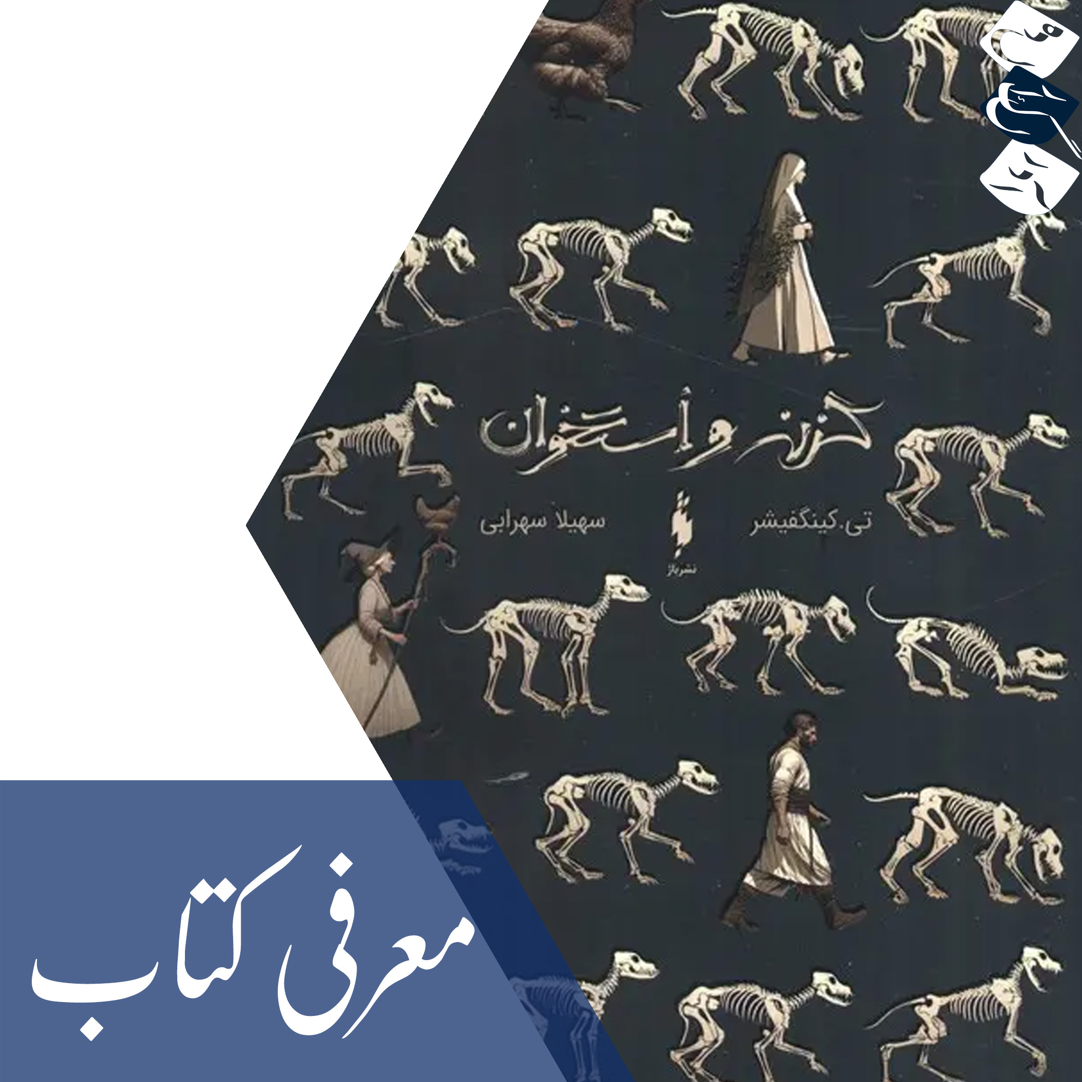 معرفی کتاب «گزنه و استخوان»